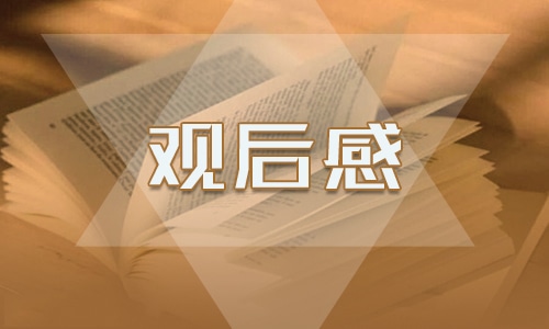 看论语国学经典观后感500字