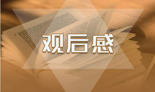 大学生观看时代新人说对话战役英雄观后感作文800字5篇