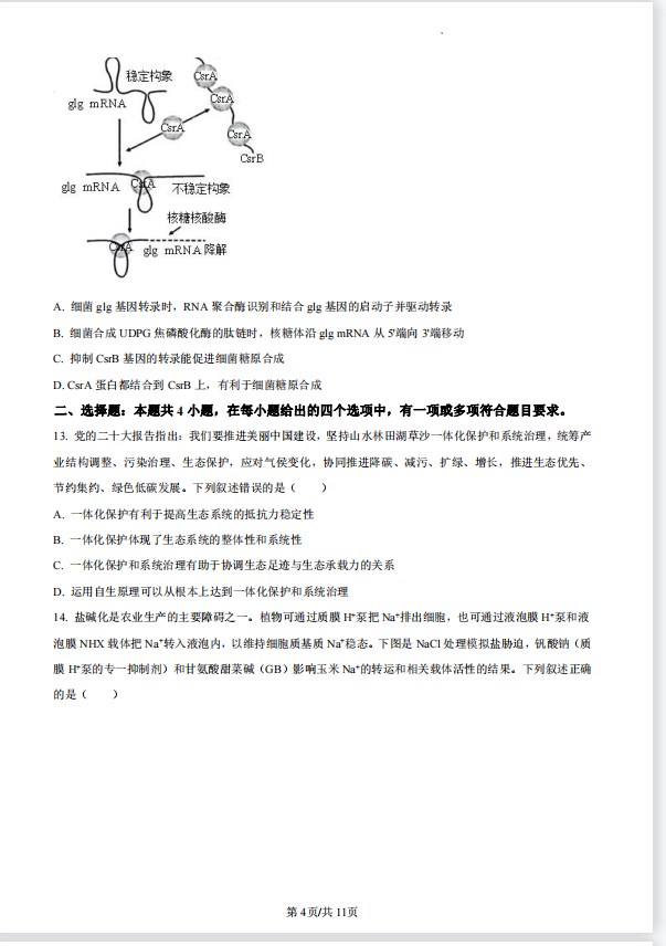 2023年高考生物新高考一卷真题试卷